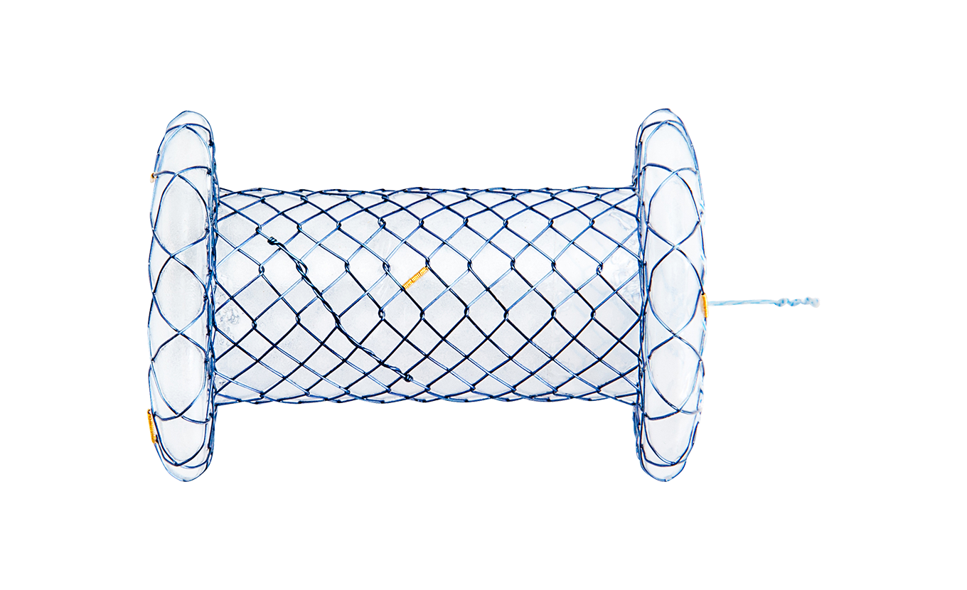 6775fb9cdcea6_HANAROSTENT® Plumber™ Biliary (CCC)